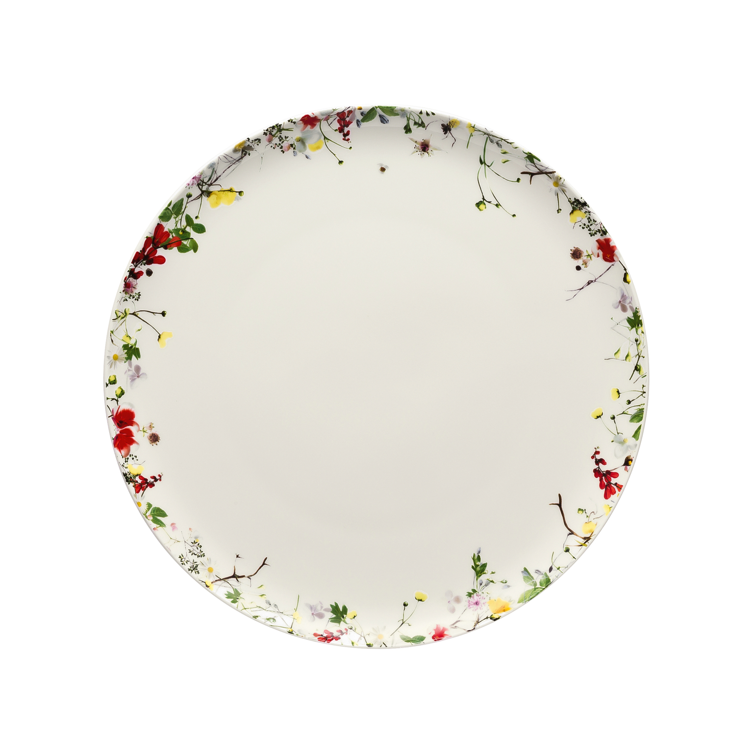 Rosenthal Brillance Bone China Fleurs Sauvages Speiseteller 27 cm